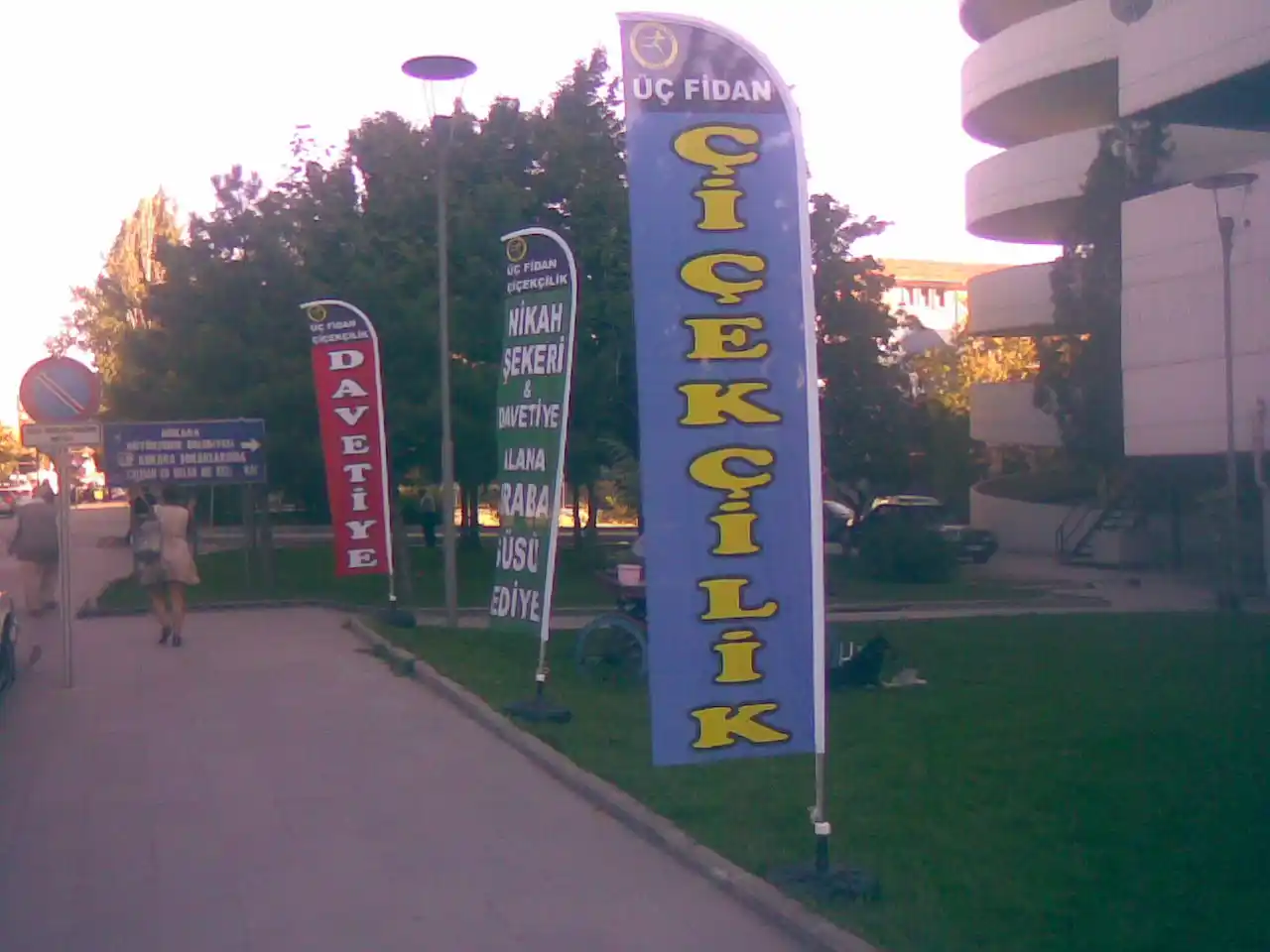 Çiçekçi Yelken Bayrağı-19