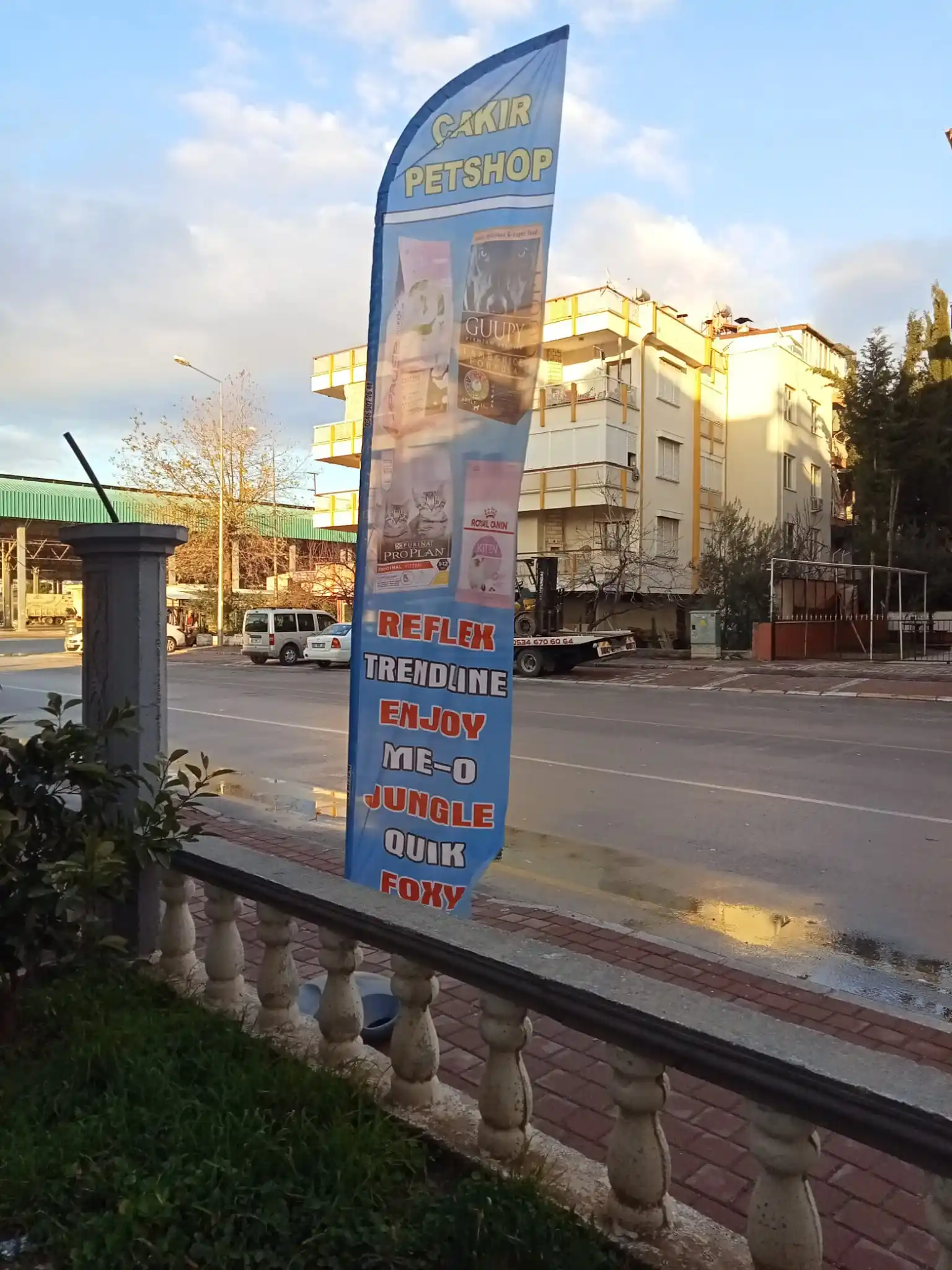 Petshop Yelken Bayrağı-26